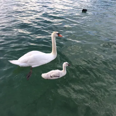 Apartment Annecy Privee, Duplex Baie Des Voiles *