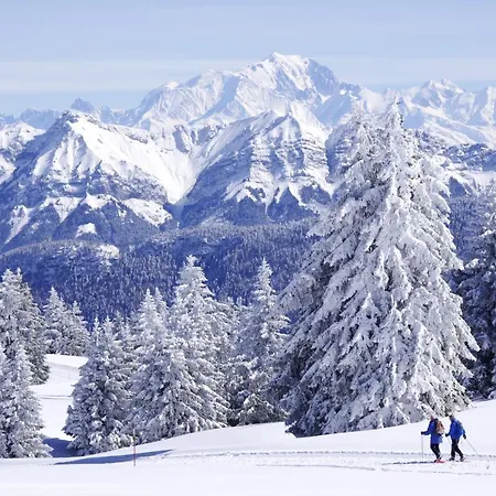 Lejlighed Annecy Privee, Duplex Baie Des Voiles Duingt